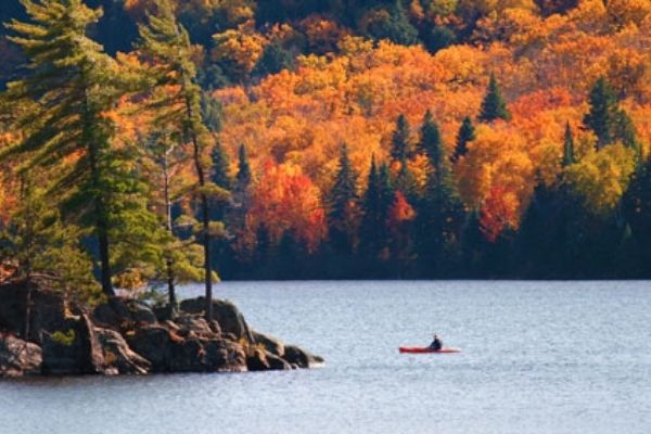 Qué hacer en Canadá con niños